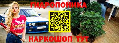 каннабис Кимры