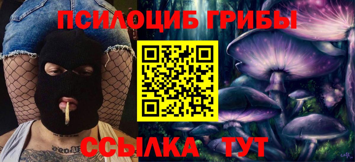 Галлюциногенные грибы Cubensis  Вход с VPN  Ярцево 