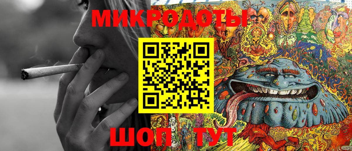 Псилоцибиновые грибы Psilocybe Ярцево
